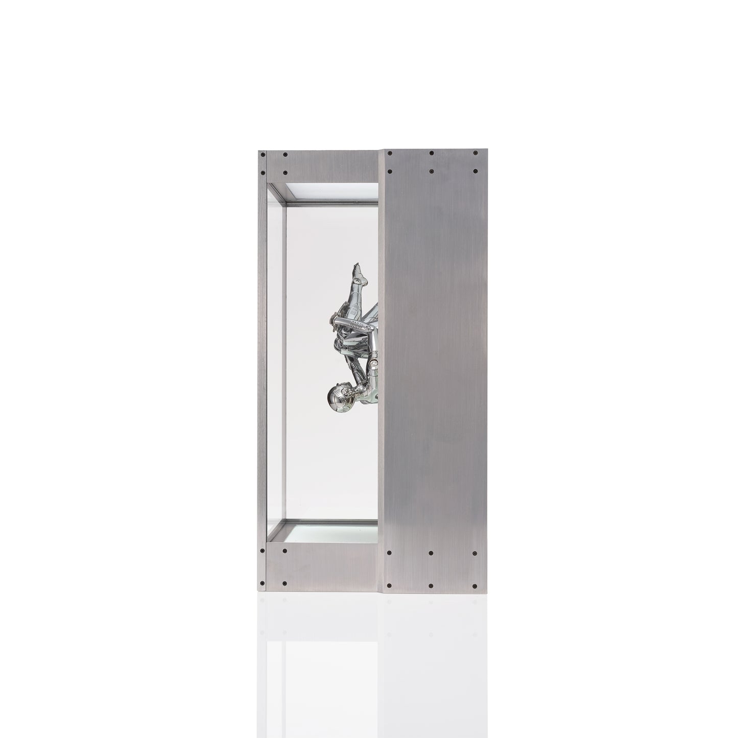 Untitled_Sexy Robot_Space traveler 1/8 scale infinity box