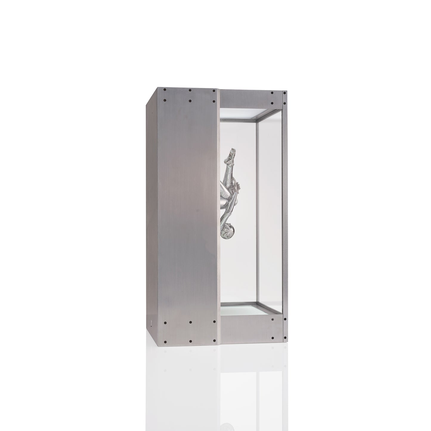 Untitled_Sexy Robot_Space traveler 1/8 scale infinity box